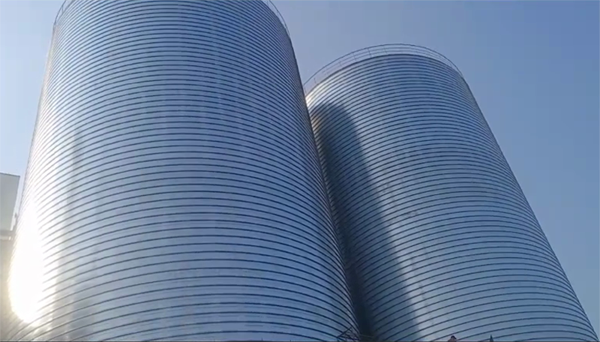 莱阳2座混凝土高架卷板仓